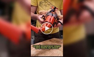 Парень вернул курицам хвосты, чтобы они снова ходили как динозавры