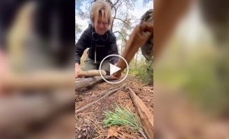 Музыкант показал, как звучит техно без оборудования — только палки и ритм