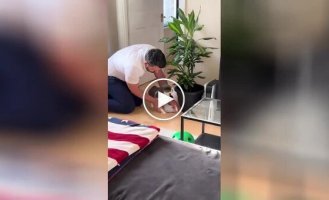 A cat had a good time with its owners