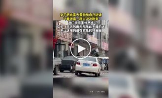 Собака каждый день приносит своей хозяйке еду из закусочной