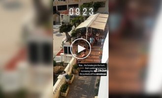 Tourists started a fight for sun loungers by the pool