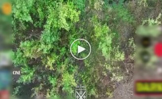 Ukrainian defenders captured two Russians with the help of a drone on Pokrovsky direction