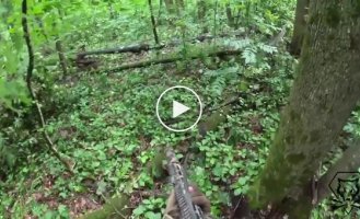 A sabotage and reconnaissance group of the Special Operations Forces destroyed a group of occupiers and captured a Russian in the Kursk region