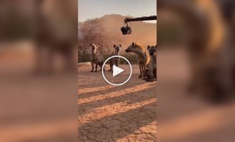 Как снимали бы «Короля Льва» без CGI: нейросеть показала забавную версию классики