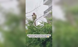 Обезьянка перепутала своего детеныша со щенком, но потом одумалась