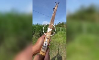 Необычная рогатка