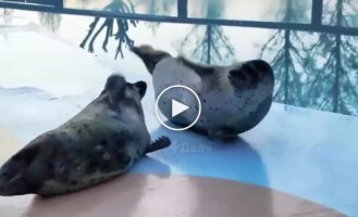 Мастера техники бесконтактного боя
