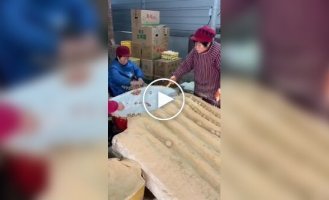 Как китайцы делают столетние яйца