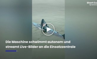 Robot fish for underwater surveillance appears in Chinese lake