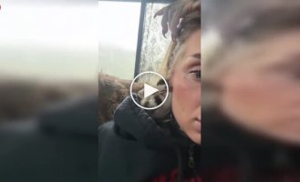 An unusual case: a duckling hid in the ear of a woman with a tunnel