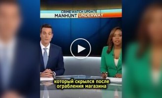 Ведущие новостей не смогли сдержать смех