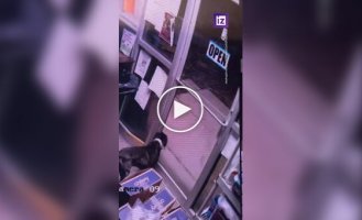 A smart dog escapes from an animal shelter