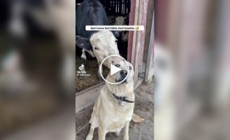 Когда за спиной происходит что-то очень странное