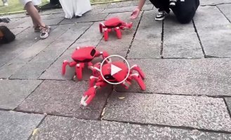 Amusing robot crab