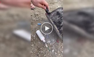 Експеримент, який вийшов з-під контролю