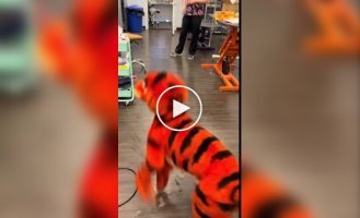 A dog was dyed like Tigger from Winnie the Pooh for Halloween.