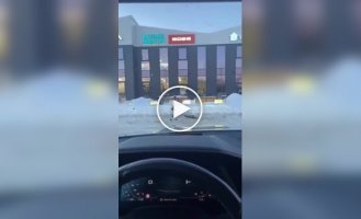 Восстание роботов откладывается