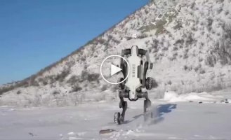 Китайці протестували робоособаку в екстремальних умовах
