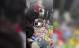 Model for a pet clothing shoot