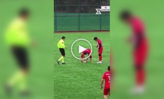 Футболист сбил чайку в полете