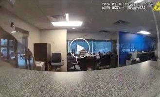 Олень влаштував хаос в американському банку