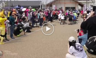 В Японии прошла очередная гонка на стульях