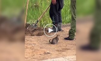 Кожен зайнятий своєю справою