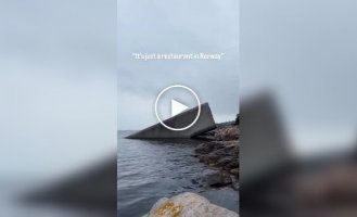Dinner in the depths: the largest underwater restaurant in Norway was caught on video
