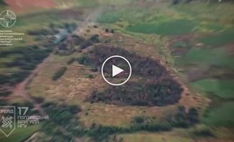 Defense Forces attacked an enemy cannon at a distance of 25 kilometers, which is a record for the range of destruction