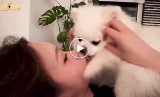A Korean woman who let a dog lick her face was condemned on social networks