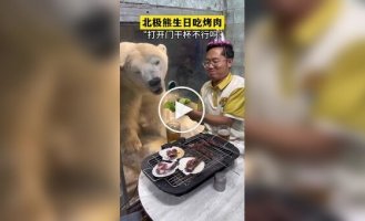 A polar bear's birthday