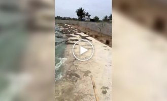 Работа для людей со стальными нервами