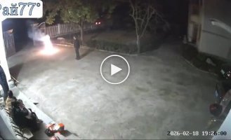 Собака неприятно удивила жителей китайского города