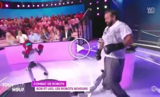 Man in France stages boxing match against humanoid robots