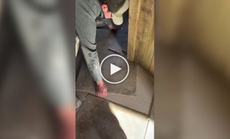 Идеальная стыковка: Как ровно уложить доски