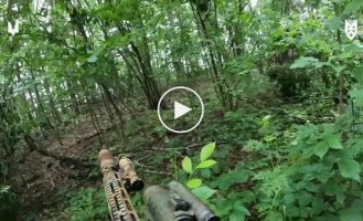 SSO fighters came from behind and carried out a successful raid on the position of the occupiers on the border with the Russian Federation