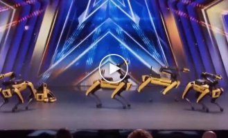 Робопсы зажигают: Boston Dynamics на шоу талантов с танцем под Dont Stop Me Now