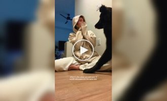 A 9-month-old puppy surprised everyone with its gigantic size.