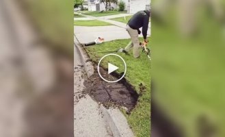 Professional cleaning