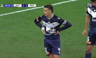 Стая птиц приземлилась на стадион во время футбольного матча