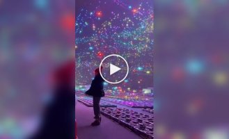 В Китае 20 тысяч дронов вернулись в свои коробки после масштабного шоу