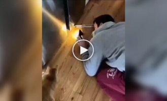 When someone says cats are useless