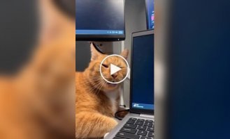 Состояние на работе после праздничных выходных