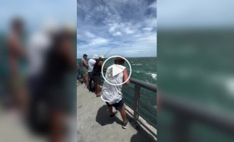 An impressive catch by a fisherman