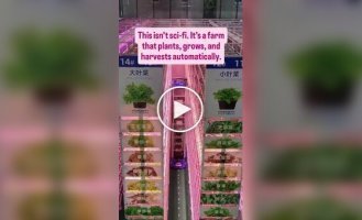 Ферма будущего в Китае