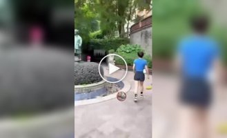 Коротко о том, почему китайцам сложно иметь лишний вес