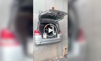 A coffee shop where a car has become part of the interior