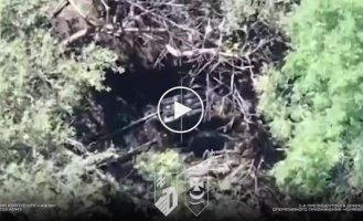 National Guardsmen destroyed a Korean Type 75 multiple launch rocket system in the Kupyansk direction