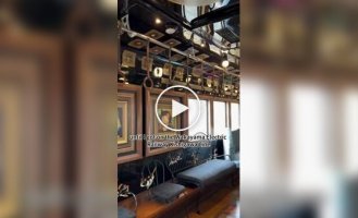 Поезд в кошачьем стиле