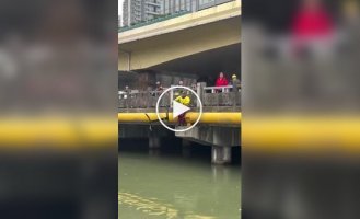 Испытание гидрофойла под мостом закончилось падением в воду